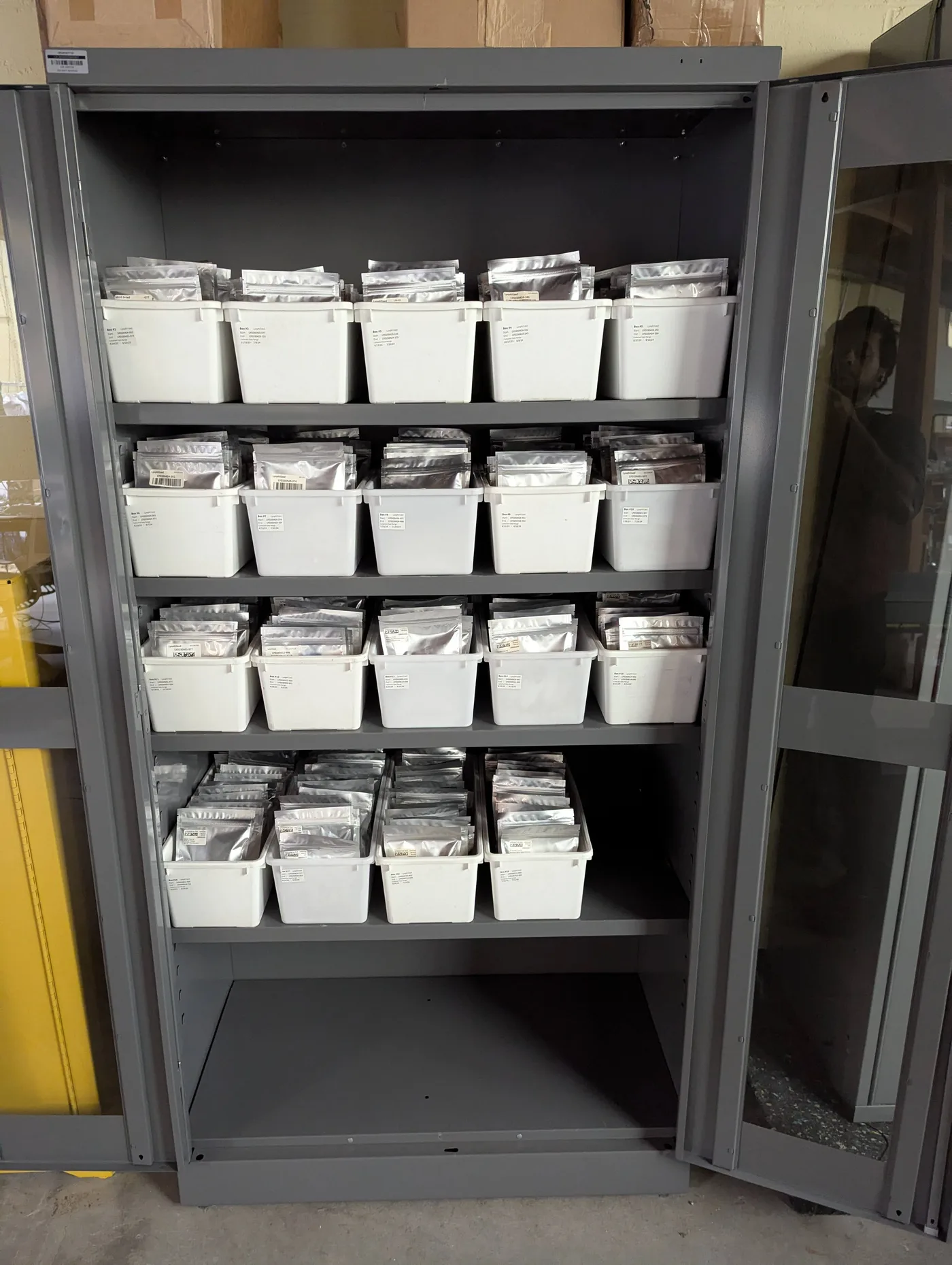 California grassland ecosystem