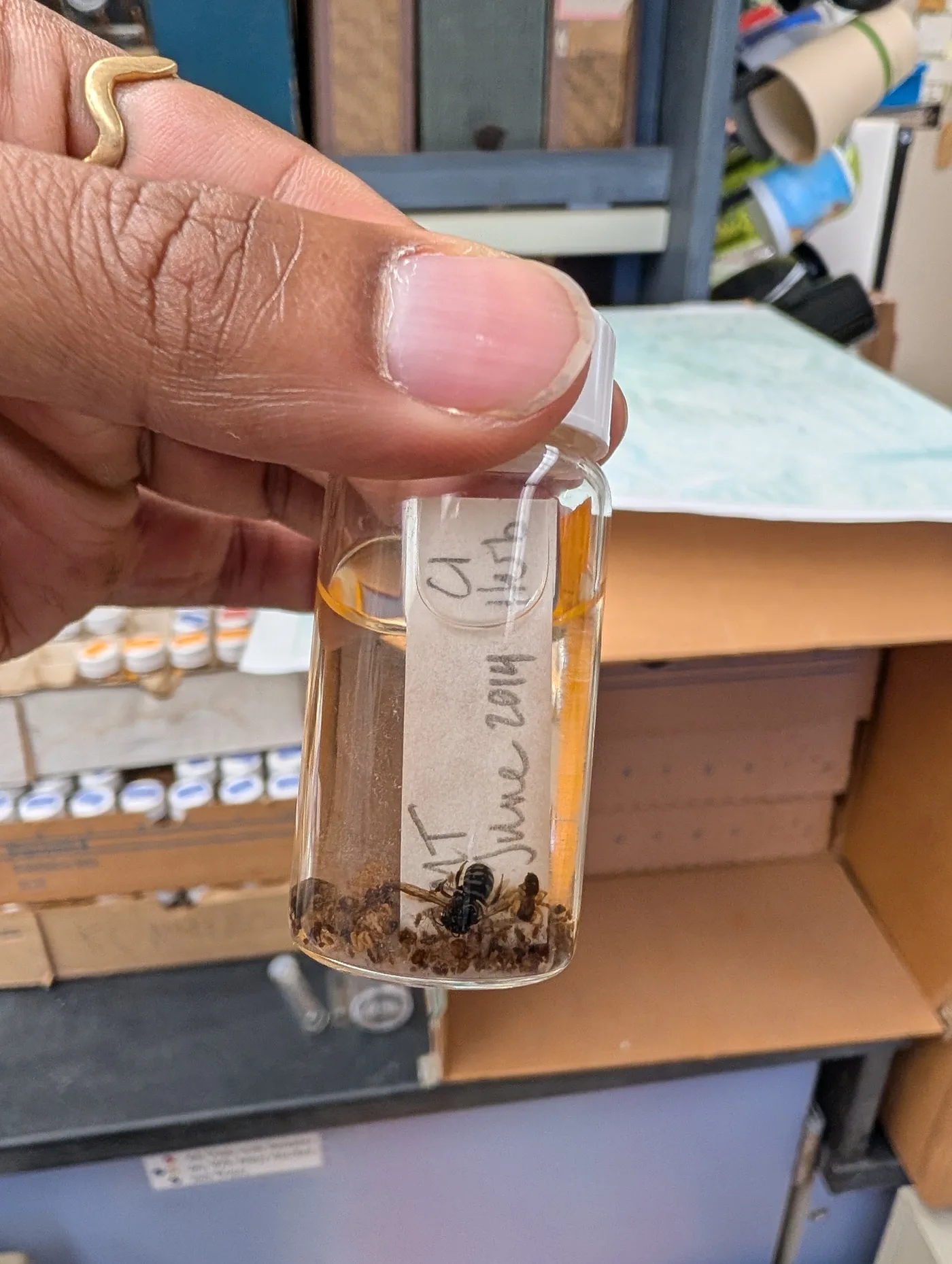 Laboratory sample preparation