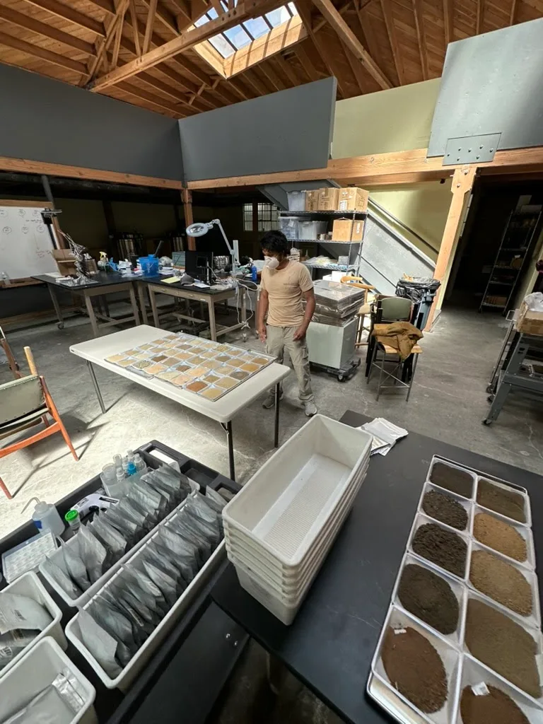 Laboratory workspace with soil samples laid out for processing