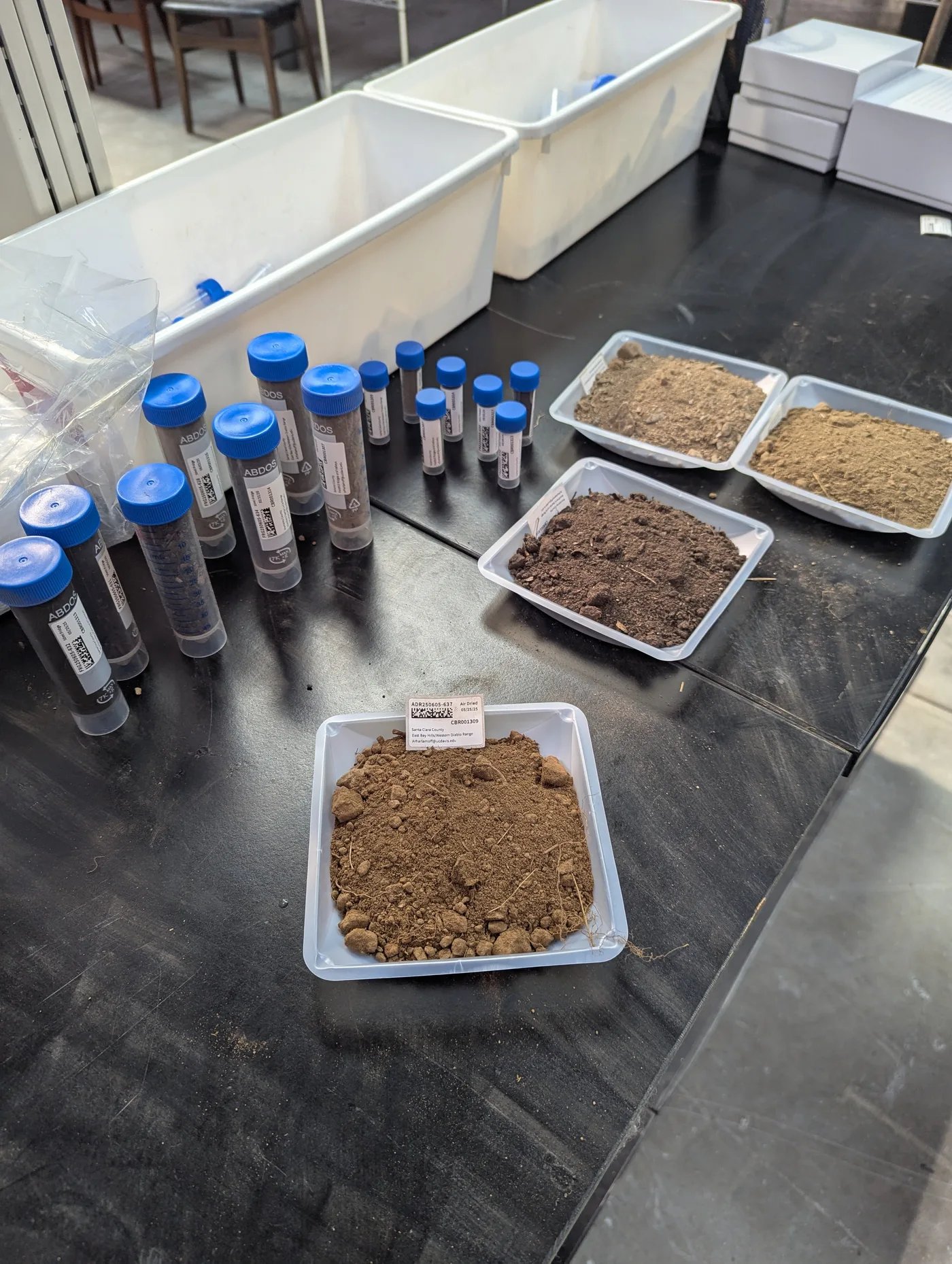 Processed soil vials and trays