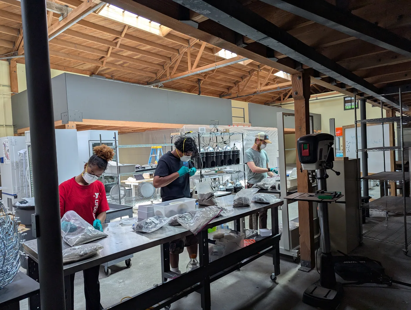 Team processing soil samples at the lab bench
